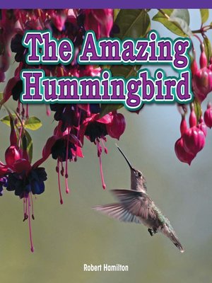 cover image of The Amazing Hummingbird